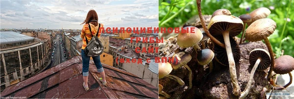 кокаин колумбия Нея