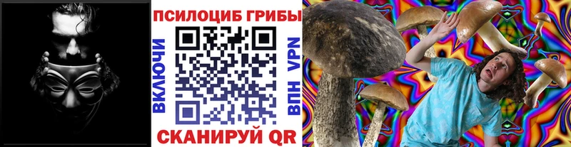 Псилоцибиновые грибы MAGIC MUSHROOMS  Купить где  Зеленокумск 