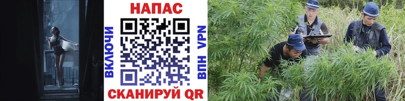 Купить где  Зеленокумск  Бошки Шишки Bruce Banner 